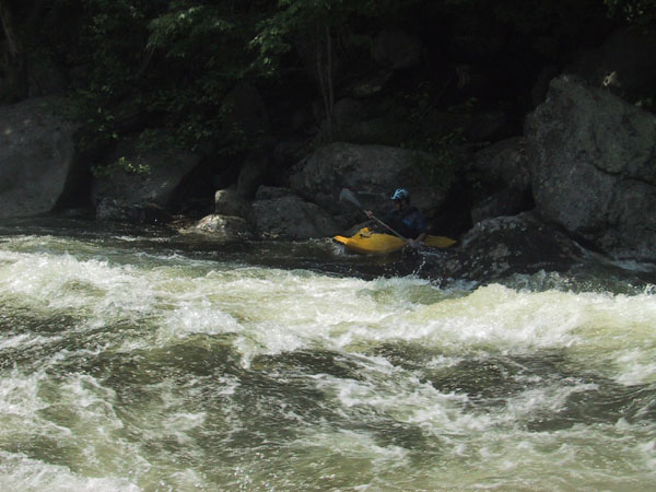 IMG_7294.jpg