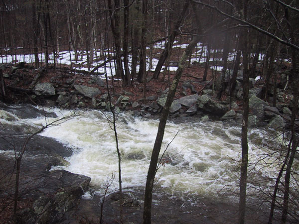 IMG_7066.jpg