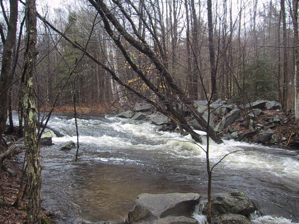 IMG_7069.jpg