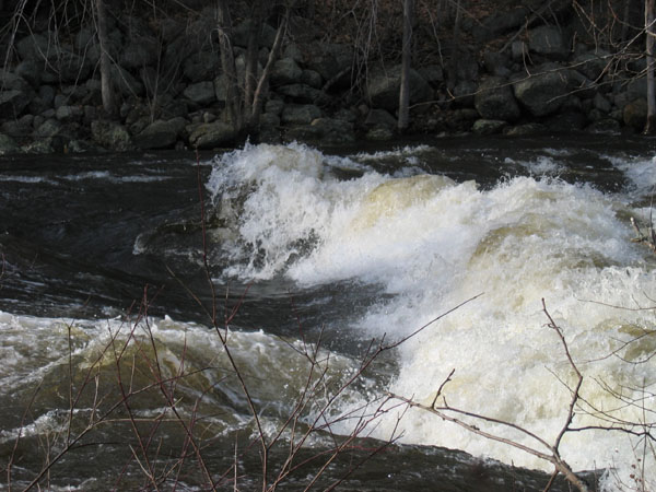 100_0010.jpg