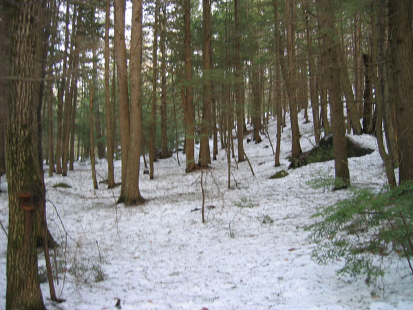 100_0037.jpg