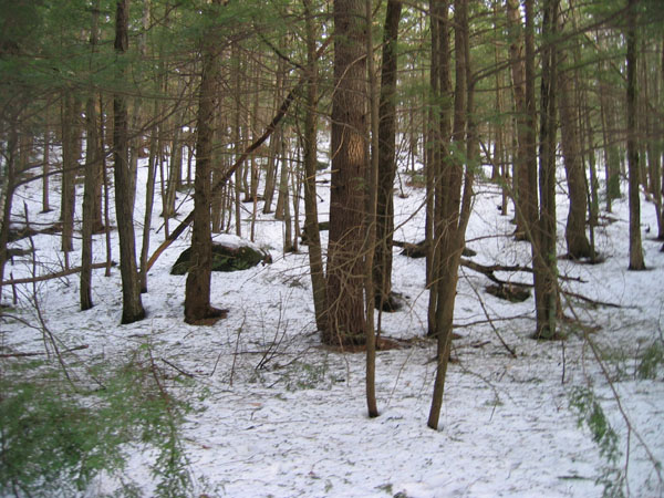 100_0039.jpg
