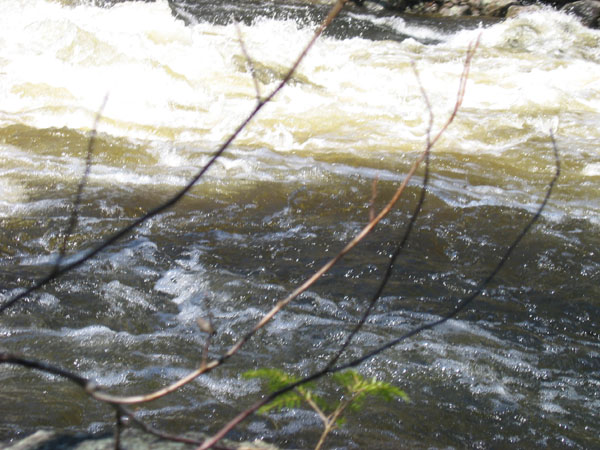 100_0042.jpg