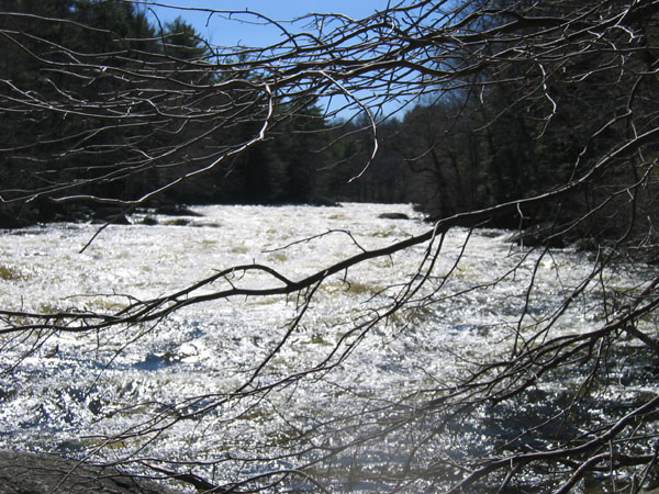 100_0083.jpg