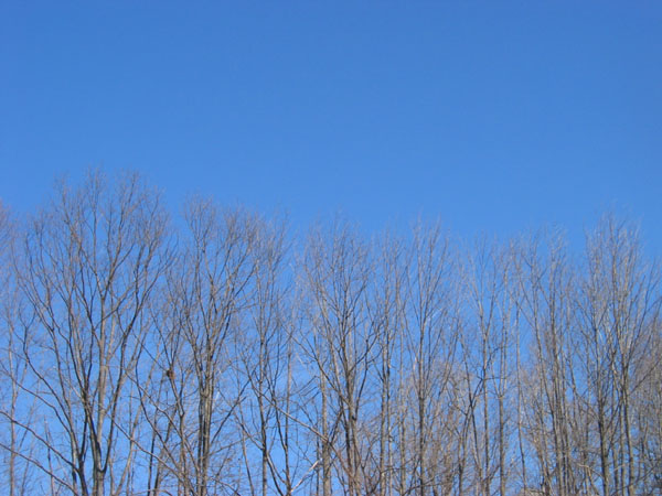 IMG_0109.jpg