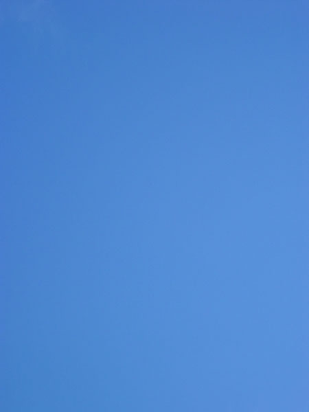 IMG_0110.jpg