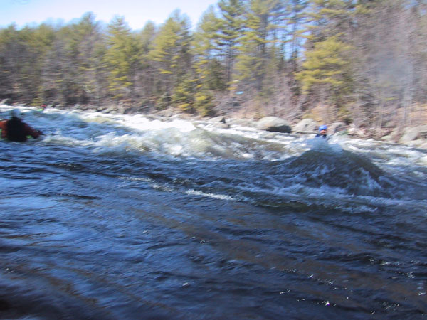 IMG_7127.jpg