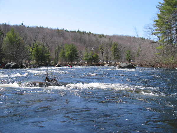 100_0036.jpg