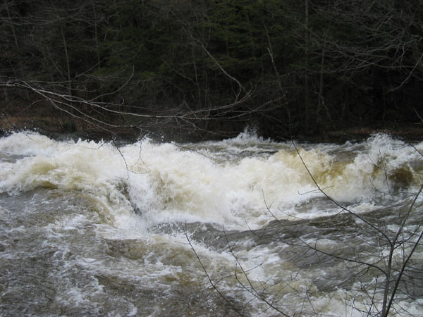 100_0013.jpg