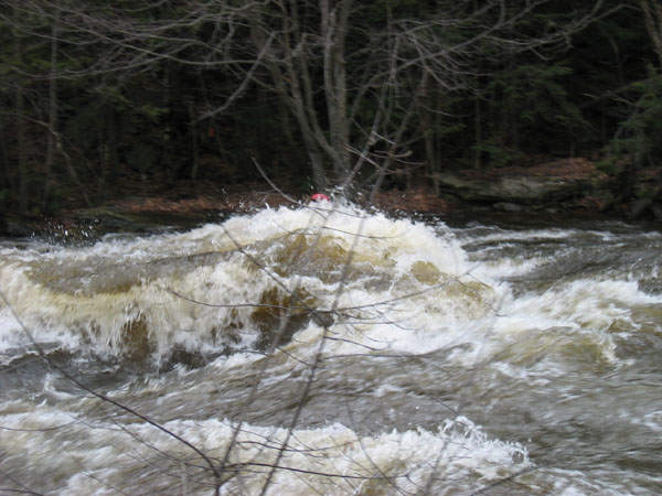 100_0019.jpg
