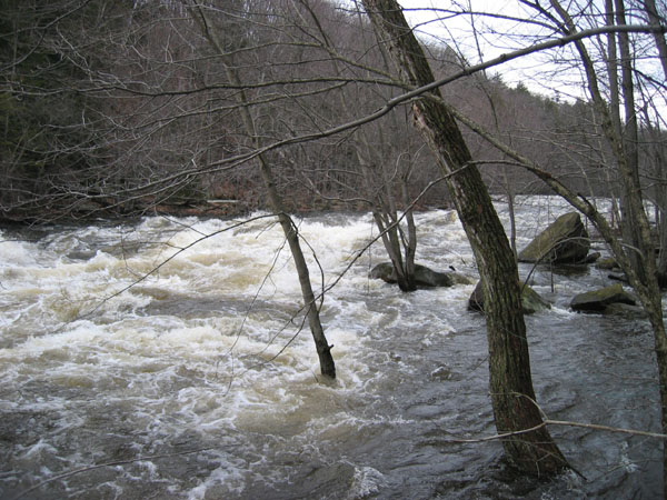 100_0024.jpg