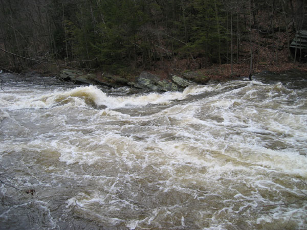 100_0025.jpg