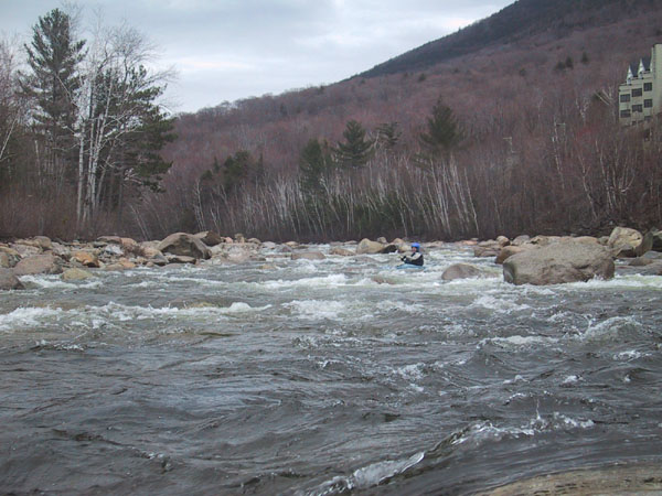 IMG_0505.jpg