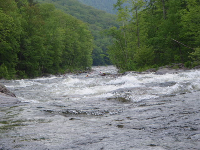 P5240082.jpg
