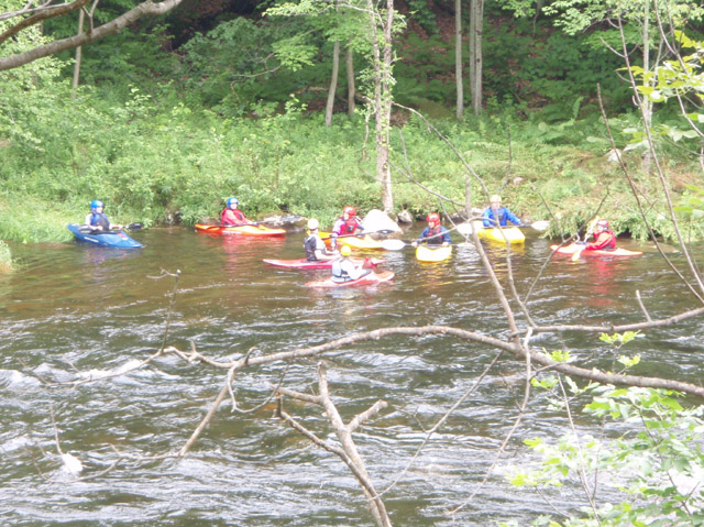 P7110002.jpg