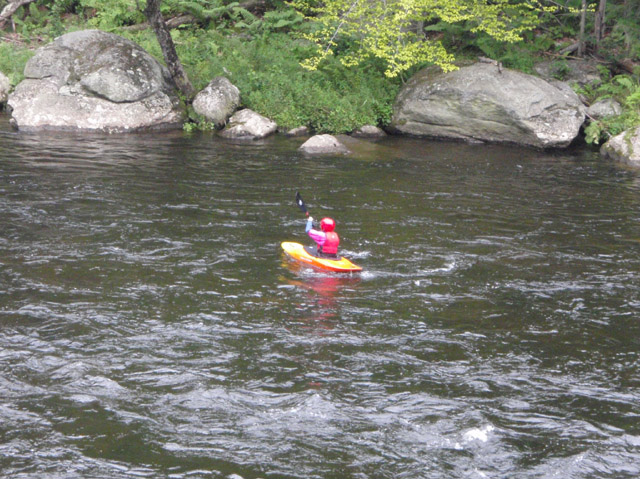 P7110106.jpg