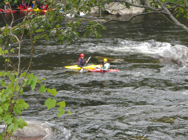 P7110114.jpg