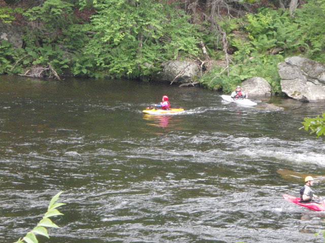 P7110134.jpg