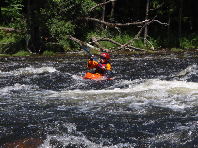 P7120178.jpg