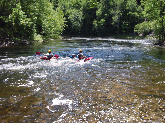 P7120245.jpg