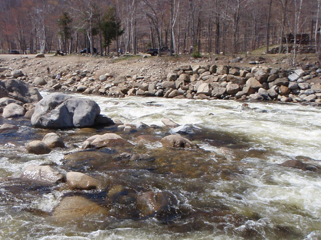 P4250233.jpg