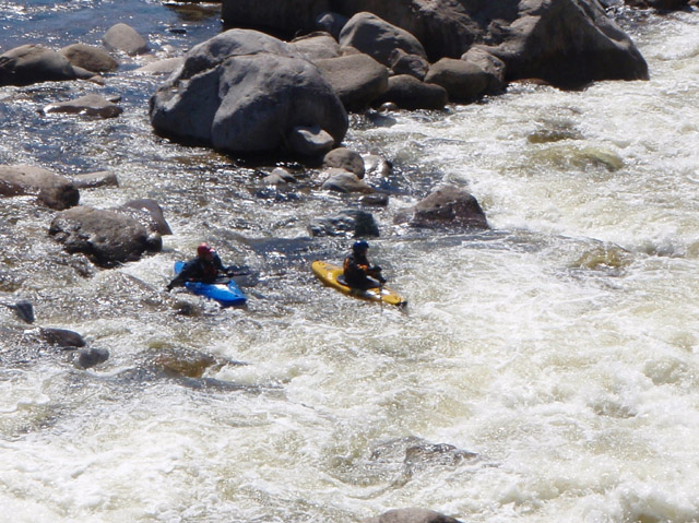 P4250257.jpg