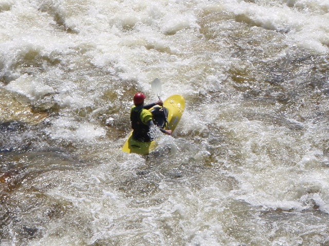 P4250263.jpg