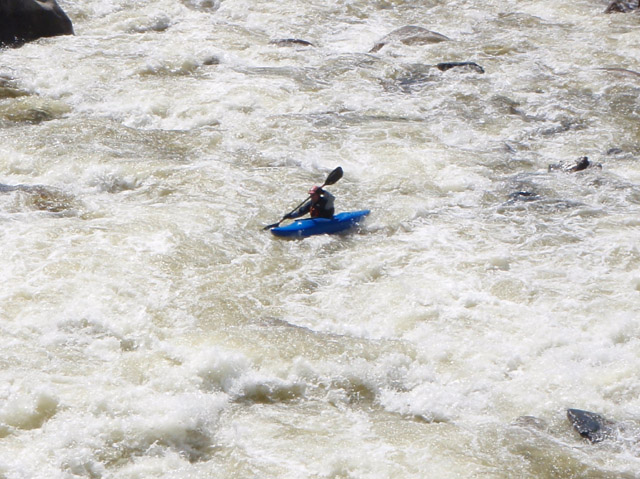P4250267.jpg