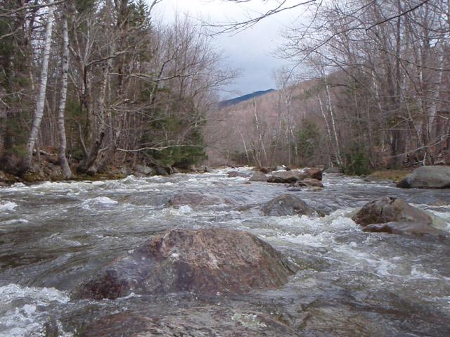 P4260364.jpg