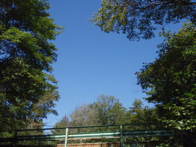 P8300012.jpg