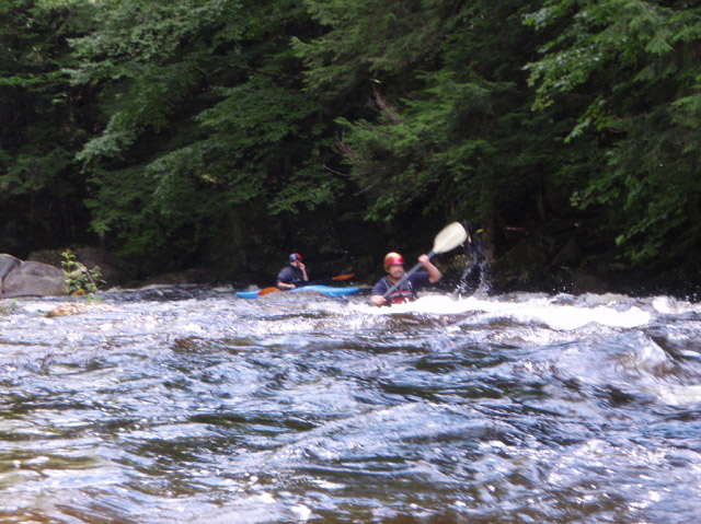 P8300038.jpg