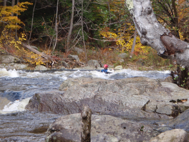 PA110084.jpg