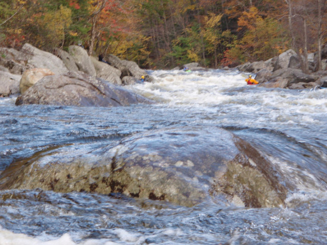 PA110117.jpg