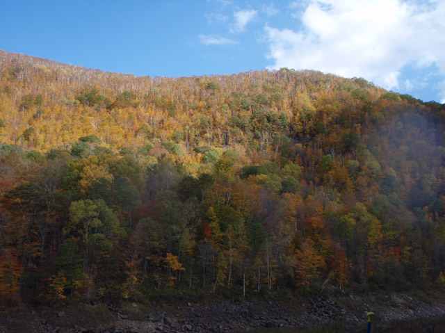 PA110125.jpg