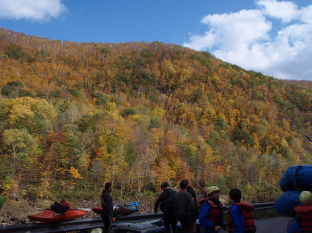 PA110129.jpg