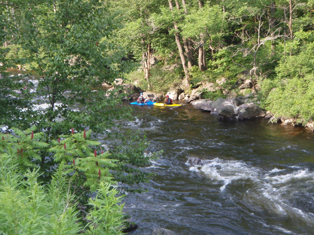 P7250330.jpg
