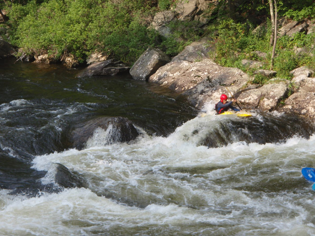 P7250334.jpg