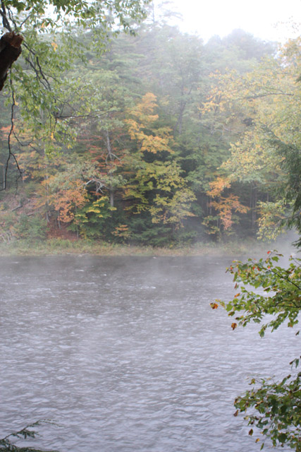 IMG_8426.jpg